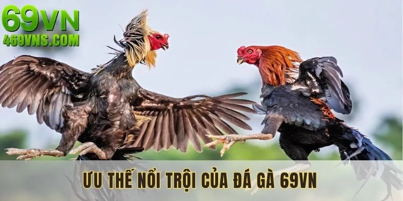 Nhiều ưu thế nổi trội hội tụ tại chuyên mục